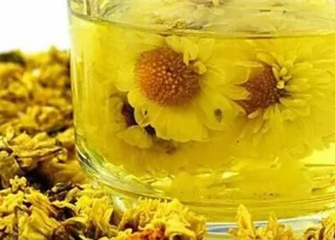 运动|夏天，菊花茶不能随便喝，牢记“4禁忌，4搭配”，或对身体好