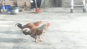 “在老家盖的房子已经完工了,可总觉得哪里不对劲...”这阳台