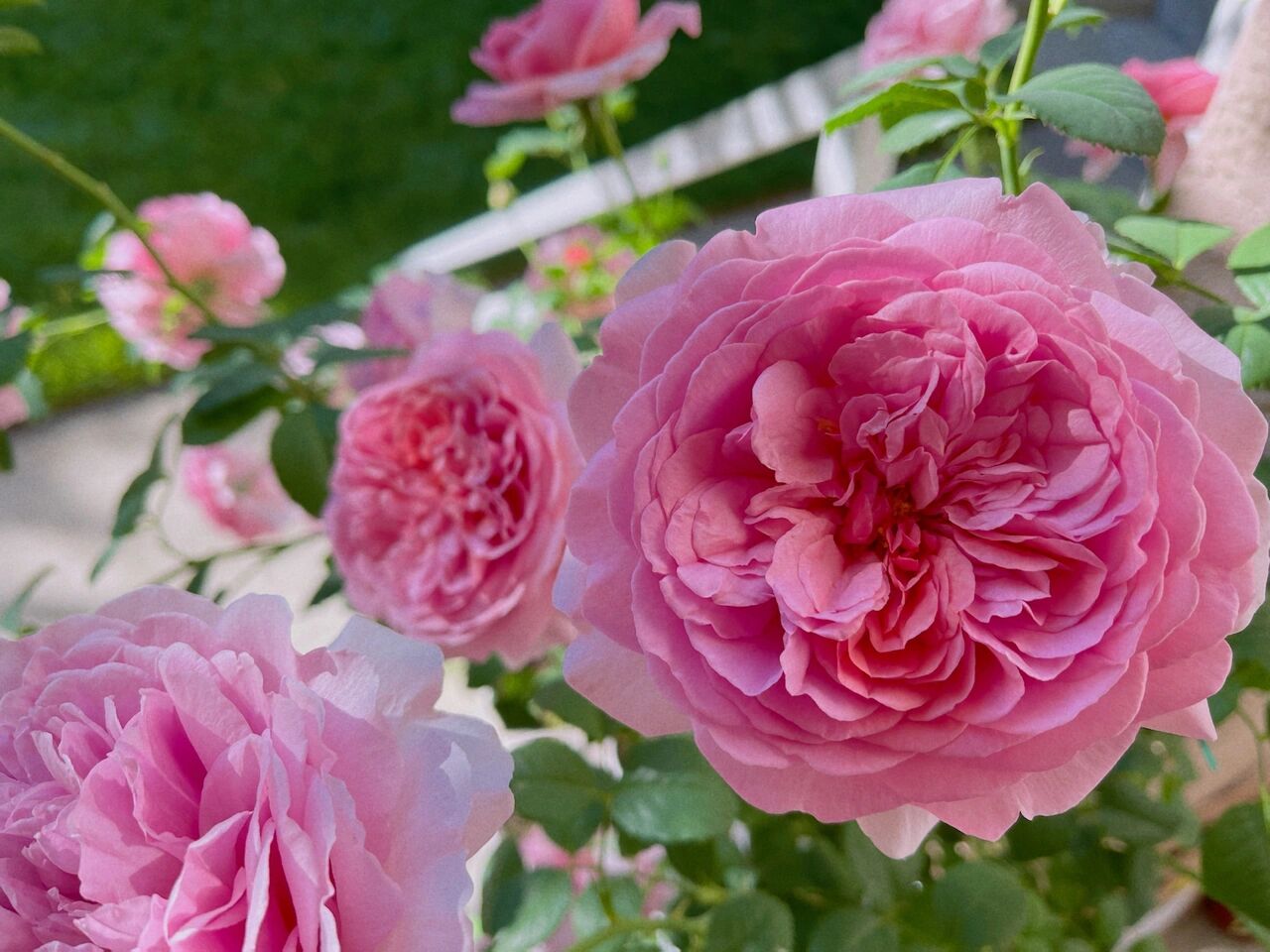 3.3W打造,45㎡露台花园成本清单,赶快把“作业”抄下来!