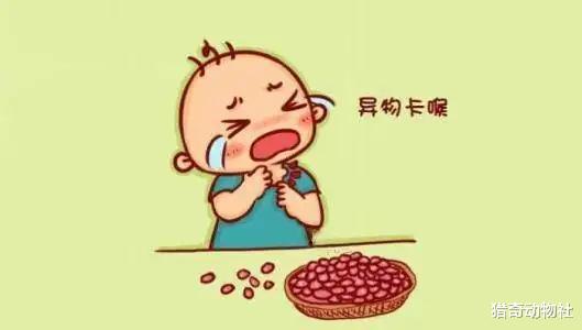 假如人类只剩下1岁以下的婴儿，人类会不会灭绝？为什么？