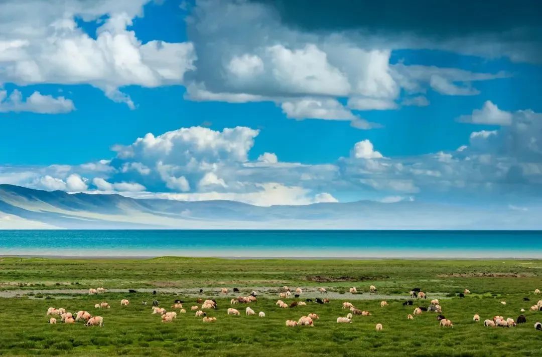 香港|草原季即将开启,如何选择最适合你的草原?