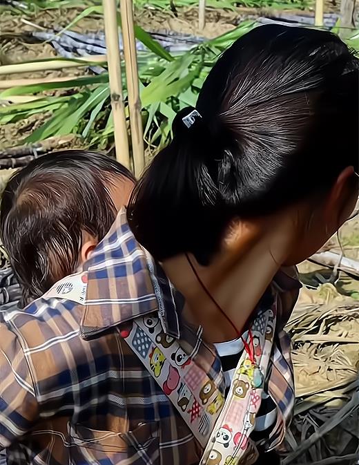 26岁单亲妈妈背着孩子砍甘蔗,120一天埋头苦干,嫁错人还生二胎