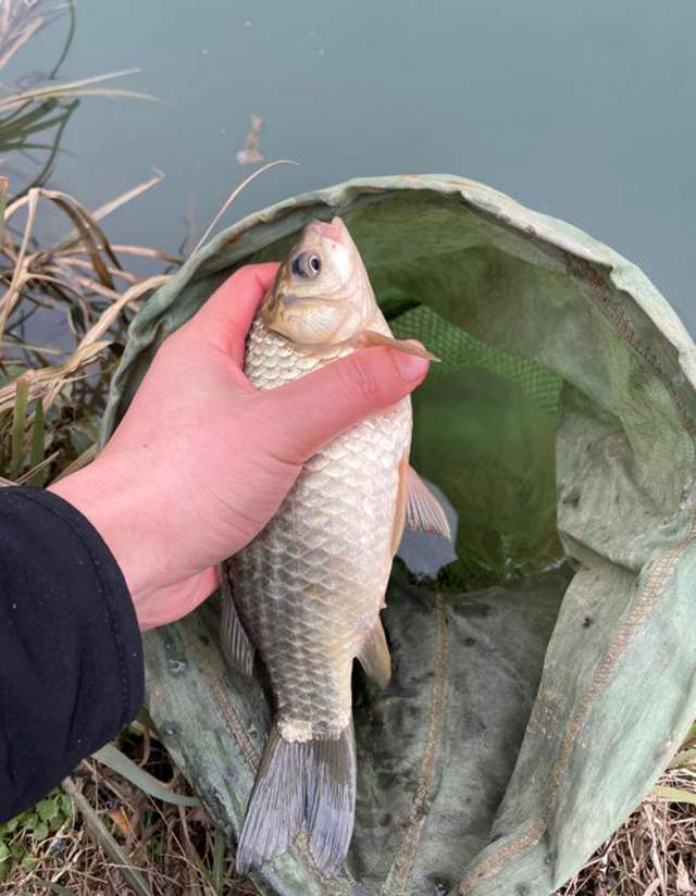 饵料|冬季钓不到鱼别怪天气不好，注意这几点，再冷的天也有鱼口