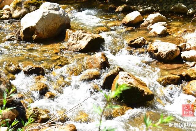 甘肃|我在甘肃遮阳山中，发现一眼泉水，名字很有趣