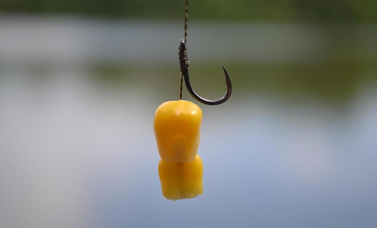 |用玉米钓不到鱼？可能是方法不对，分享4个小技巧，可钓草鲤鳊翘