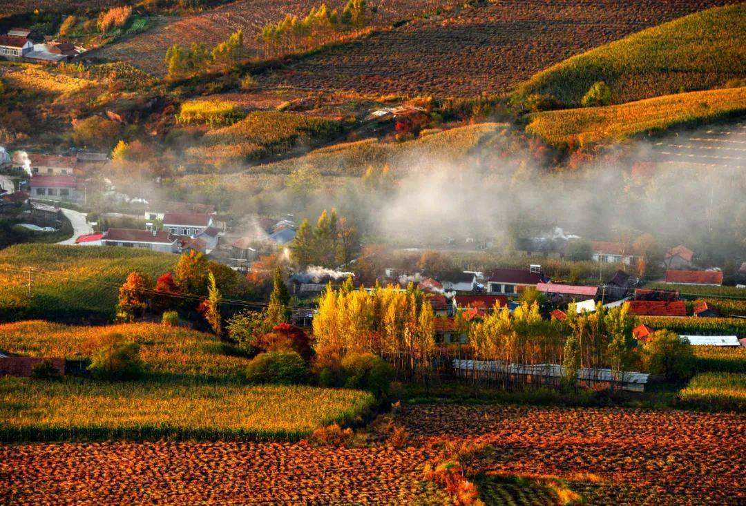 堵车|国内旅游资源丰富,为何有的人动不动就爱出国游?