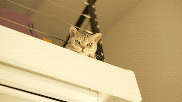 北漂十年买下39㎡老破小，改成两室两厅还带20㎡露台，太爽了！