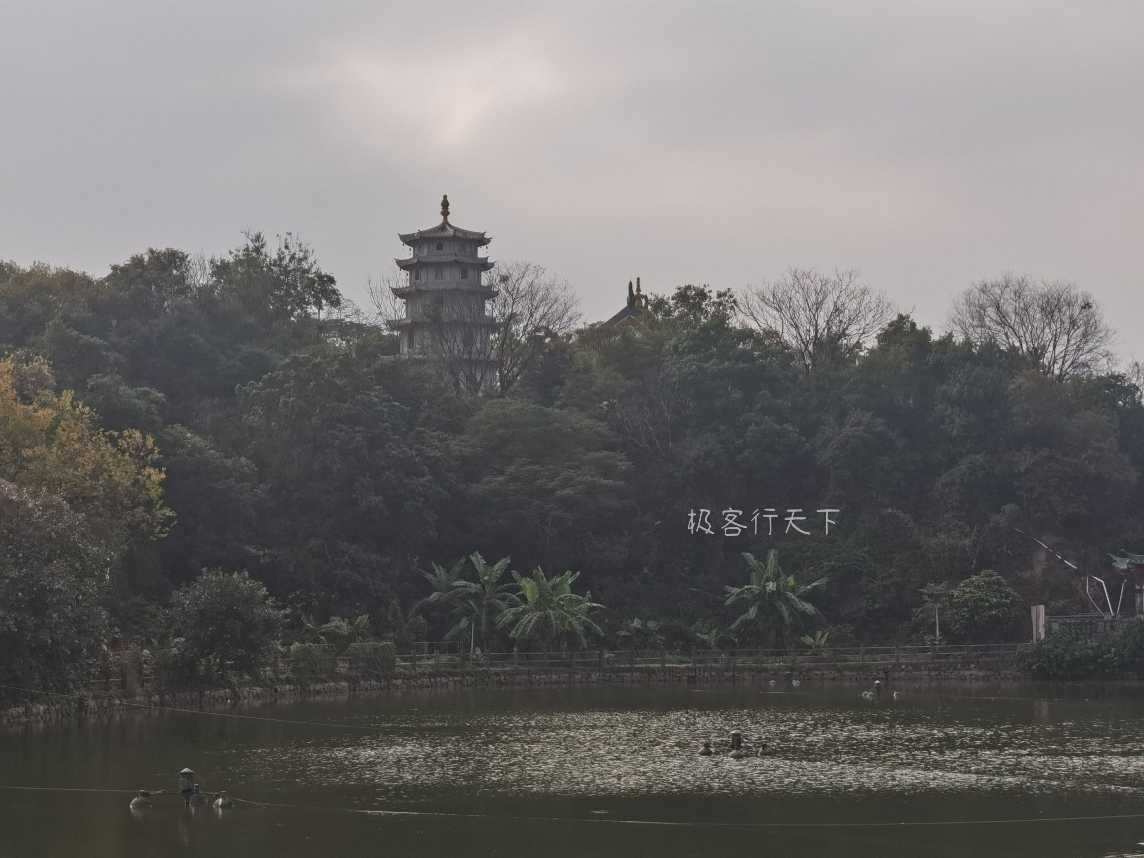 徒步|顺德奎福古寺，寻找清代“凤城八景”之一：福海烟波