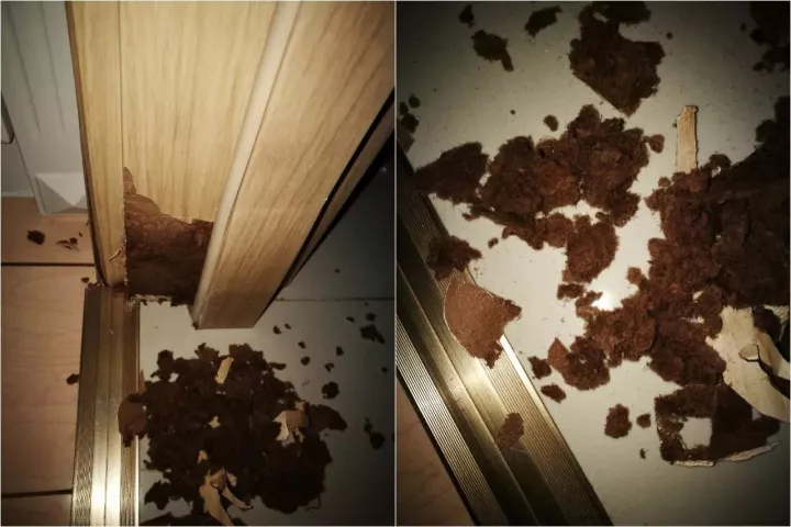 样板房与普通家庭装修,有什么区别?加几十万买样板房划算吗?