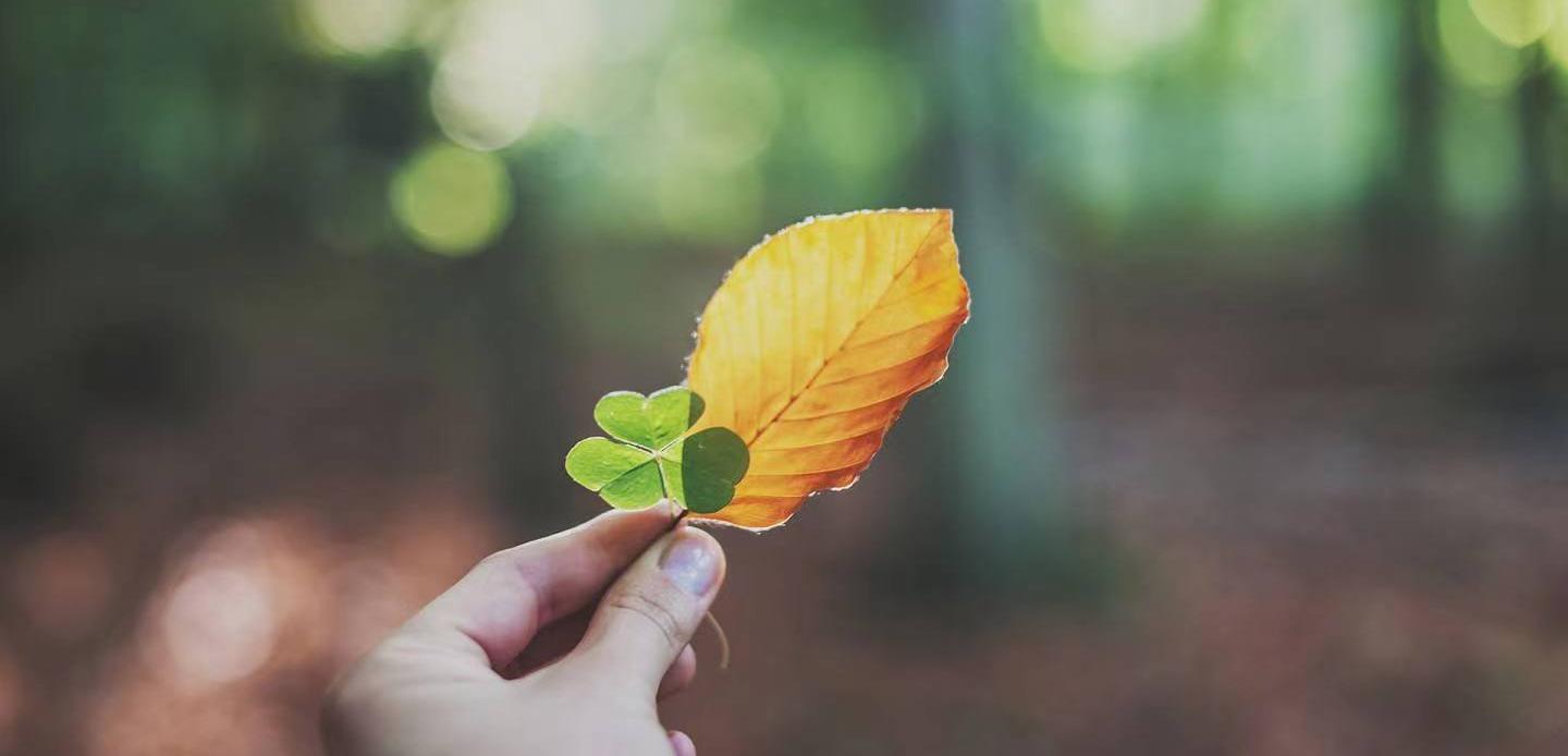 |一个人的教养,都藏在这些细节里