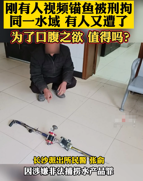 警察|笑死了, 同一水域, 一警察隔三天连抓俩锚鱼人, 真正化身锚鱼守卫者