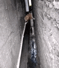 |“钓鱼的时候飞到我手上的，第一次见，有知道这是什么的吗？”