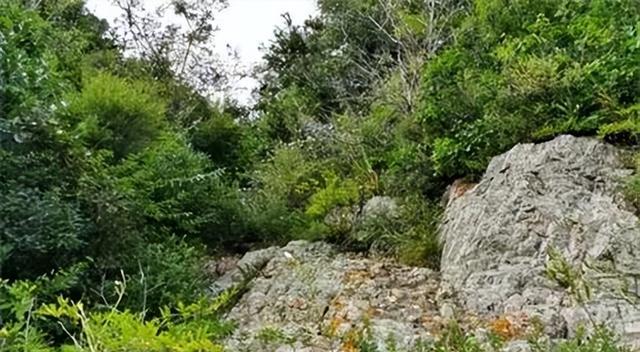 回顾:母女二人裸死荒山,警方追凶1个月,通过一枚戒指擒住恶魔