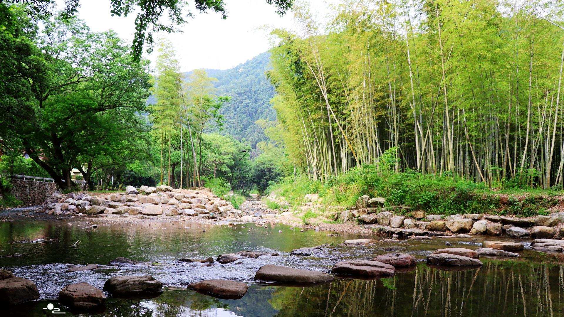 镇江|宁波北仑最美丽的玩水风景线，古树掩映溪清境幽，是休闲的绝佳地