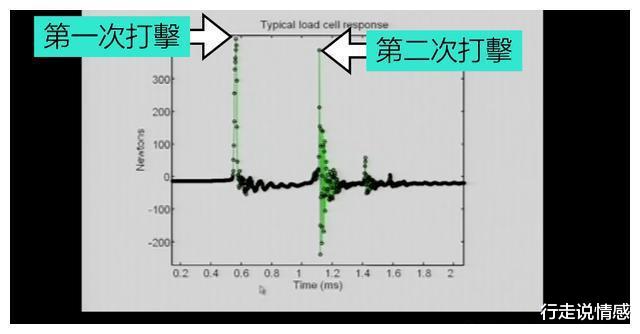 为什么皮皮虾是活体哥斯拉,全身黑科技,4亿年不进化的外星机甲