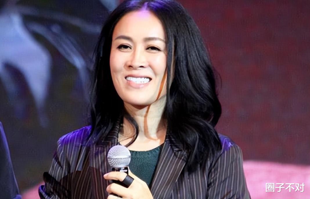 那英|那英的“堕落”,是整个华语乐坛的“悲哀”