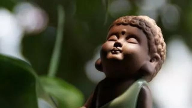 生肖|时来运转，越走越顺的生肖