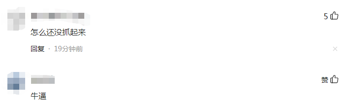 张庭|网传张庭夫妇机场小跑，大包小包似跑路？网友：怎么还没抓起来