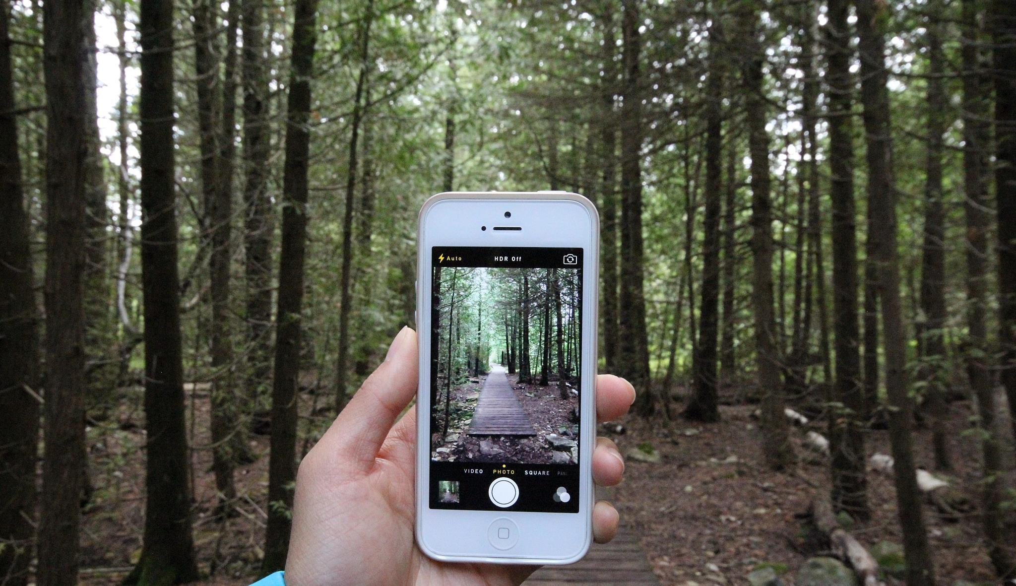 佳能|佳能关停32年珠海大厂，年收入57.1%靠印刷维持，4年亏5578亿日元