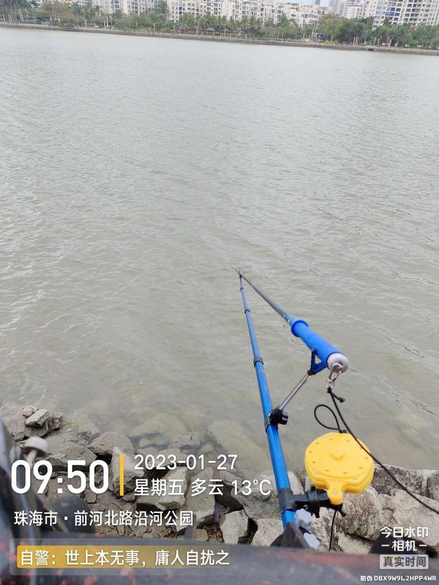 |老地方新收获!“老情人”终究禁不住念叨