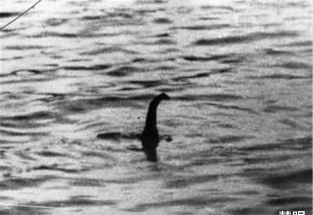 哗然！苏格兰再一次拍到尼斯湖水怪，这次是在路上走！真的是恐龙？