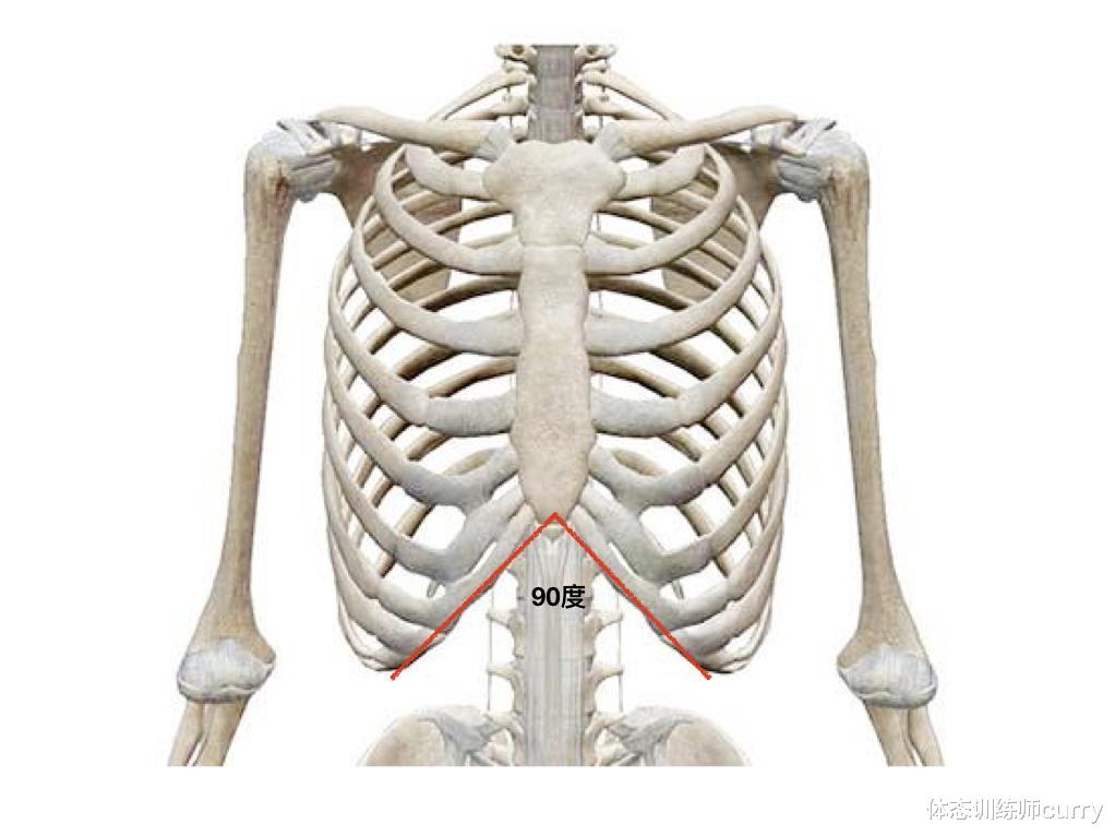 |肋骨外翻不美，健康问题很多！一套训练方法帮你轻松改善