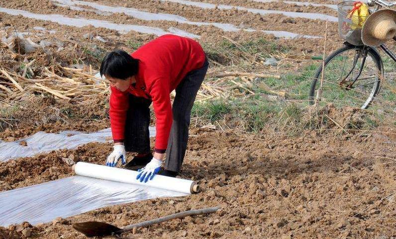 失眠|女子右下腹痛10年,5家医院误诊,专家:早注意这个疙瘩就好了!