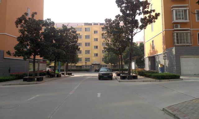 石材|?在一楼住了三年,总结了四大“罪状”,这就是我不再住一楼的原因