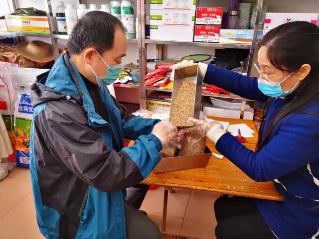DNA指纹:如何为农作物品种“验明正身”?