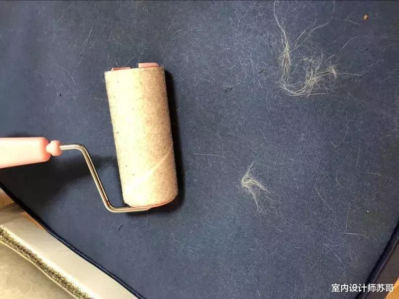 家里满是“毛絮”怎么办?教你这么做,一周不拖地,毛絮自动消失
