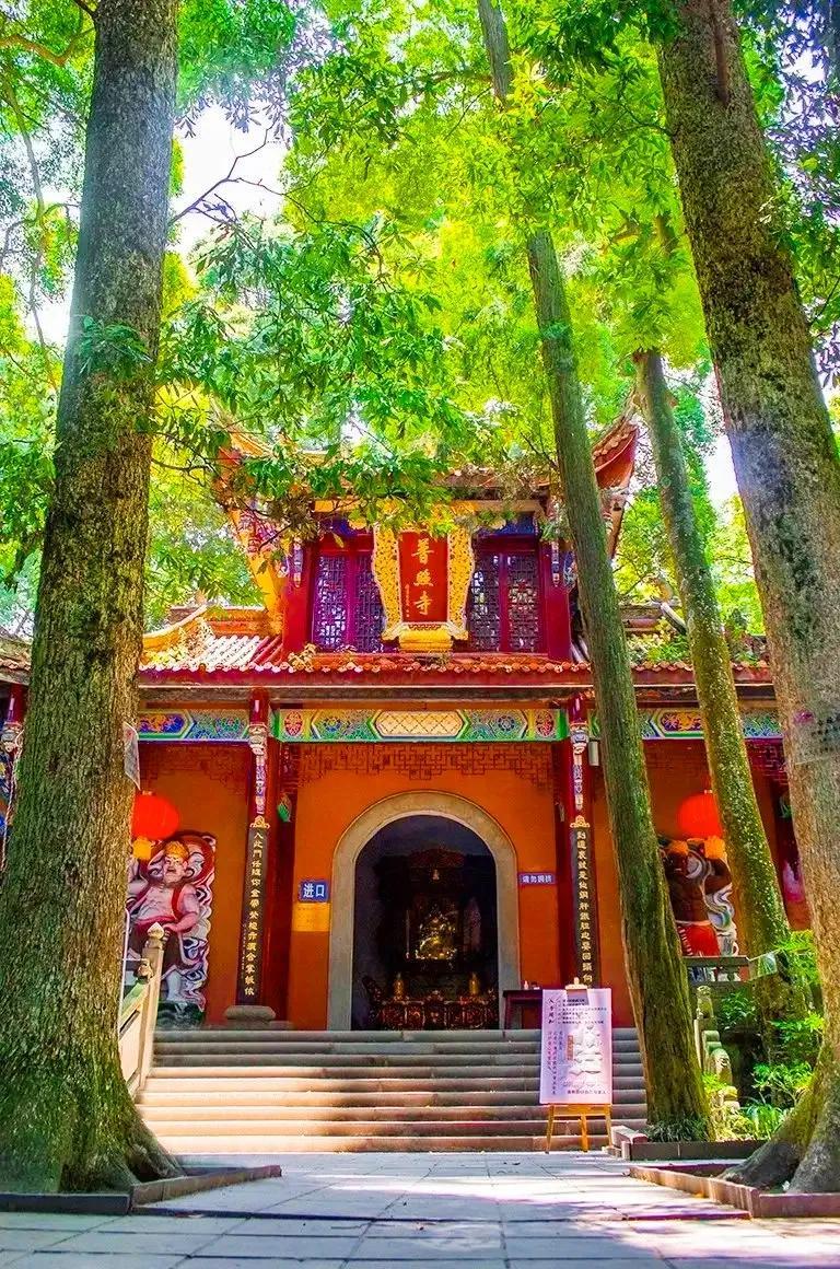 泰国旅游|味江流，普照寺，都在青城