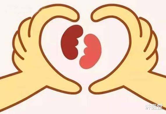 多囊|这样提升肾能量,多囊患者康复和好孕的前提