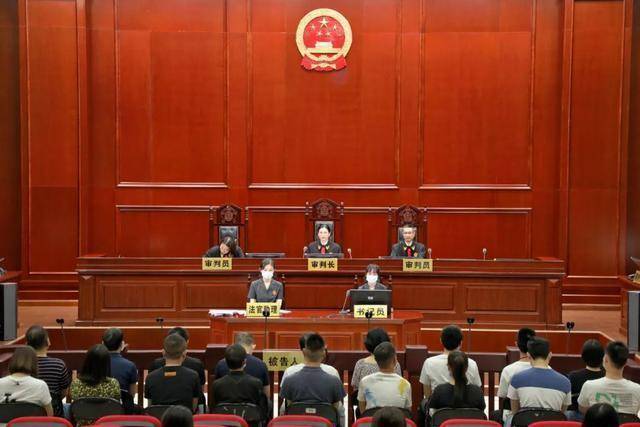 旅行社|暑期超低价游?可能是涉老诈骗