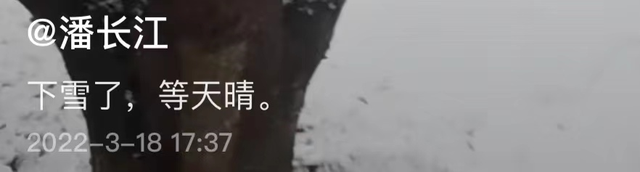 潘长江|64岁潘长江风波后首现身,神情落寞心事重重,身上落满雪背影凄凉