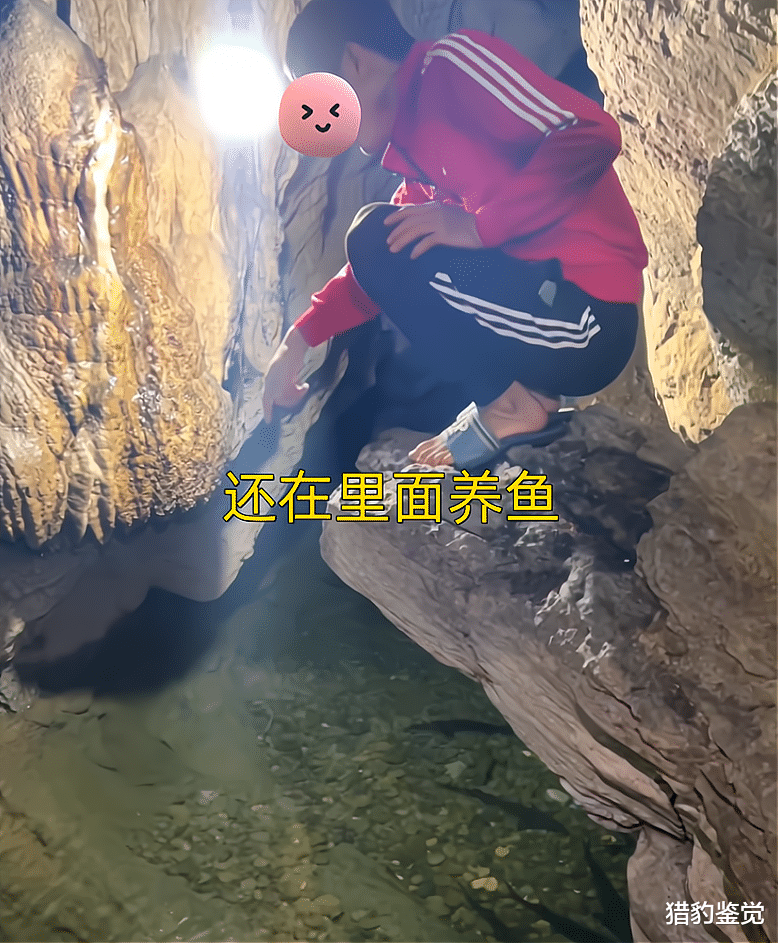 海边|贵州情侣私奔后住深山山洞，方圆几里荒无人烟，现实版世外桃源