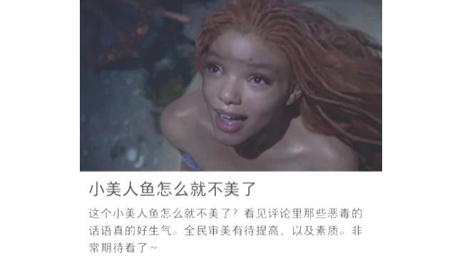 小美人鱼|中国网红力挺黑人版《美人鱼》 怒怼网友：审美单一 全民素质低