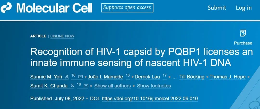 对抗HIV,免疫系统只需两步验证