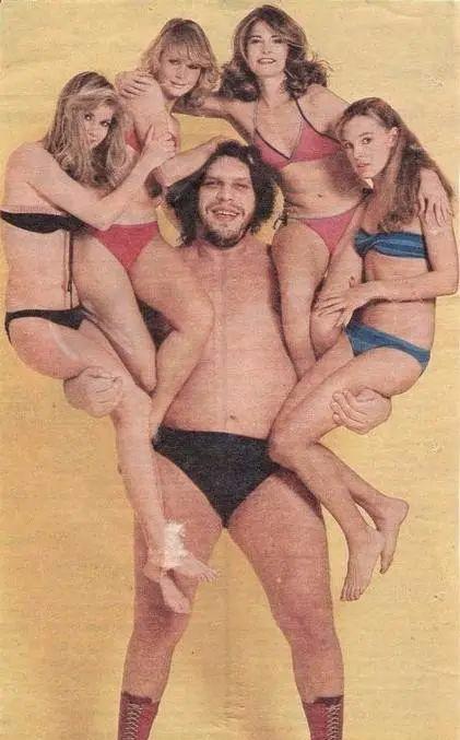 森林公园|40个让人敬畏的巨物