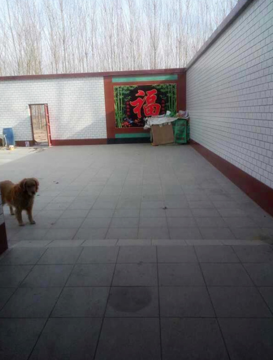 晒晒我的农村婚房,占地面积600平,厨房超级大,卧室谁见过?