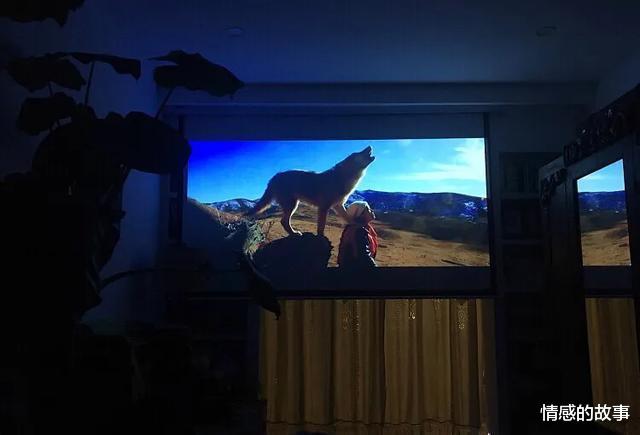 上海发现一位屋主的家,摆满二手旧家具,以绿植为伴,好美好治愈