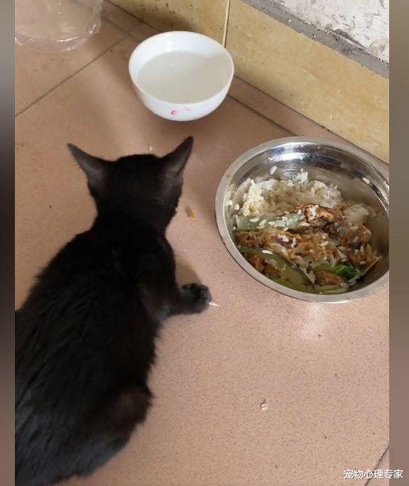 |男子夜钓时感觉有“东西”扒拉自己,低头一看:哪里来的小可爱?