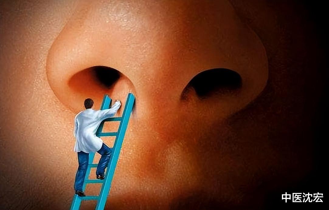 中药|秋天到,鼻炎闹,送你5个中成药,治鼻炎,养肺止痒,通鼻窍