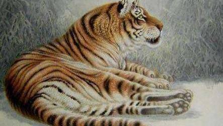 生肖|农历七月过后，3生肖否极泰来，事业久旱遇甘霖，生意枯木又逢春