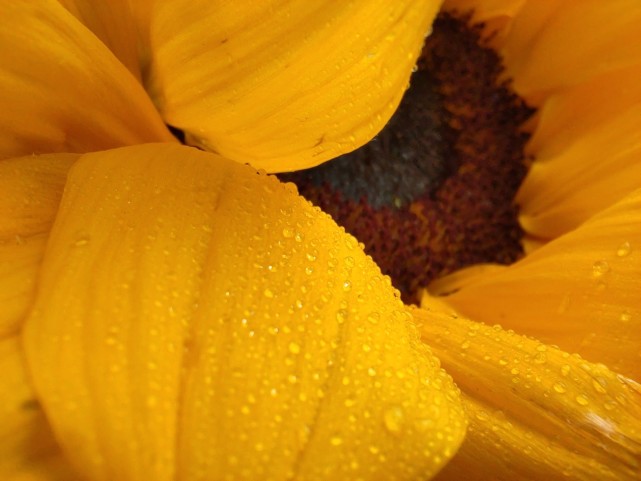 nova9|Hi nova 9z发布：千元档小轻新，1799元起5月6日开售