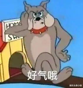 杨旭文|知道吗？他身上只要有瓜，就一定上热搜！