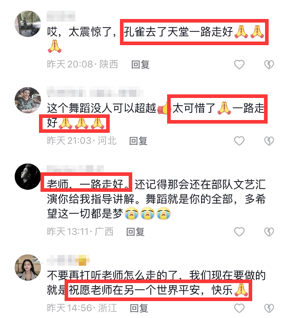 王迪|国家一级演员王迪因抑郁症去世，享年44岁，曾登春晚与杨丽萍合跳孔雀舞