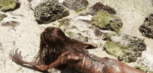 地球上真的有美人鱼?1975年的印度,就曾经抓到一只活的