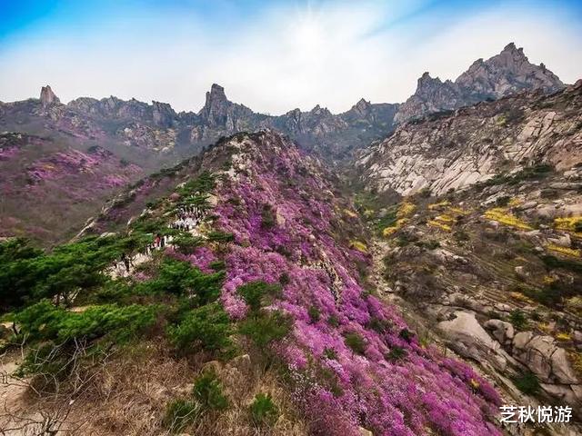 青岛市|黄岛景点有哪些？这18个地方风光独特，海韵浓郁，快带来度个假吧