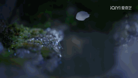 月歌行|又甜又虐,到底给不给CP粉活路?!