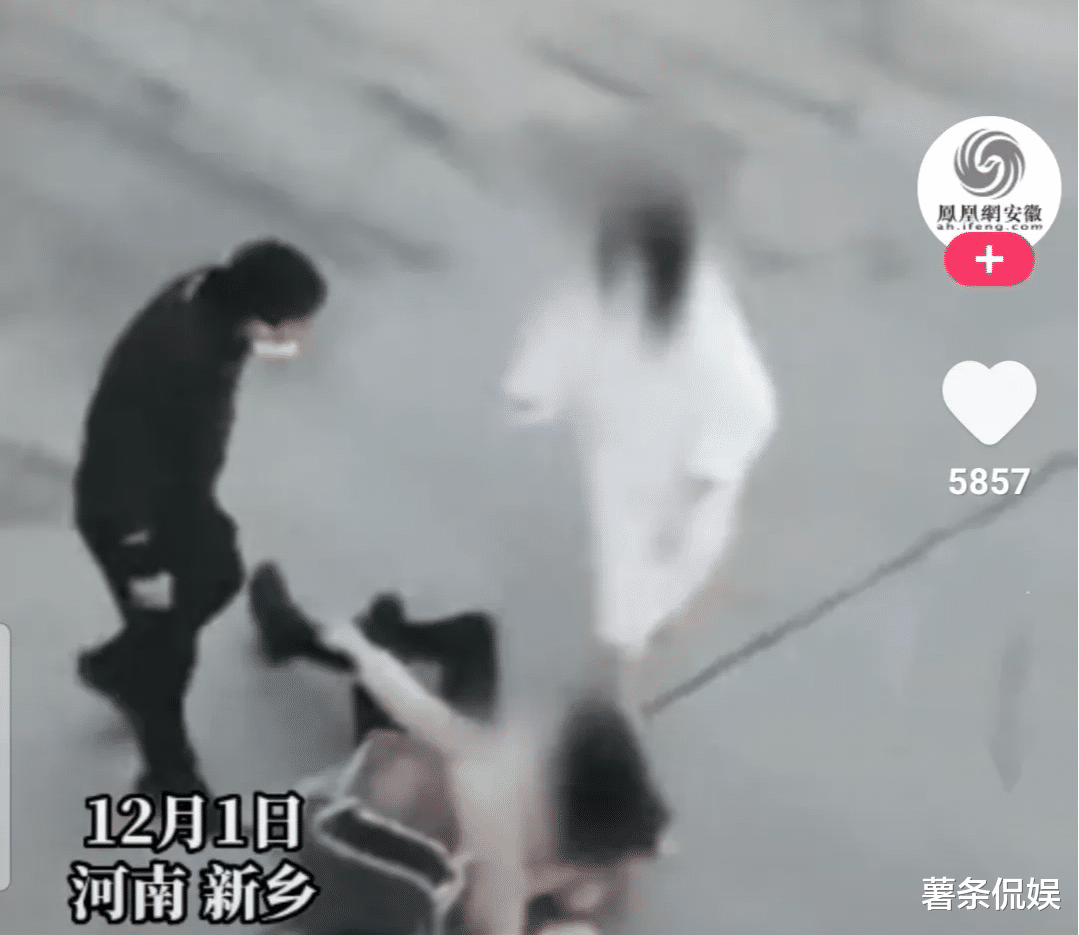 新乡:某小区一楼长辱骂租客,殴打女业主,警方已介入调查